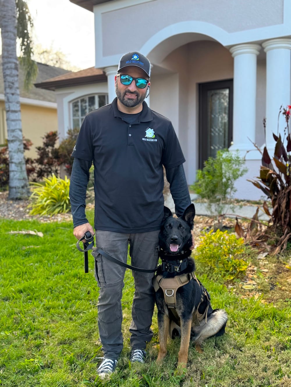 Aspen, the Mold Solutions K9 mold detection dog, with her handler