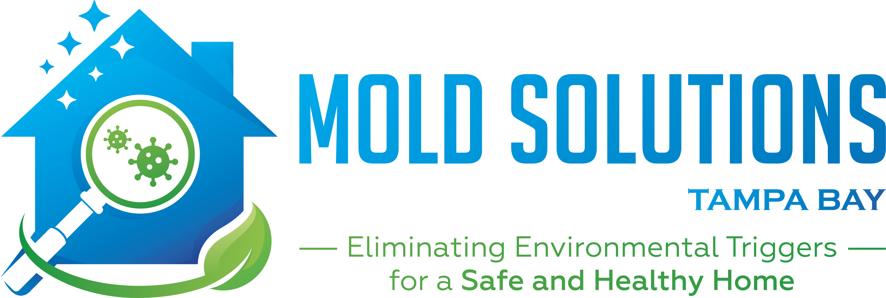 Mold Solutions Tampa Bay